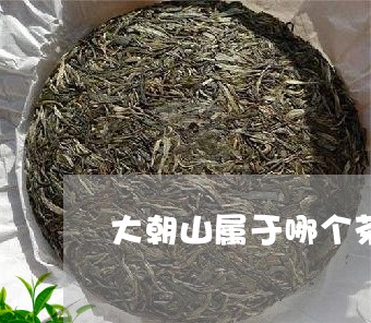 大朝山属于哪个茶区/202304737