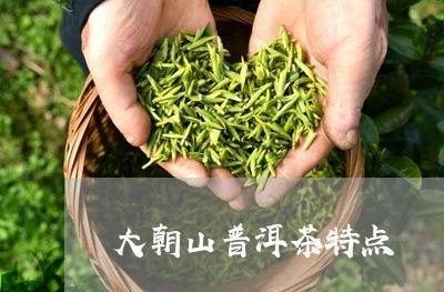 大朝山普洱茶特点/2023041326493