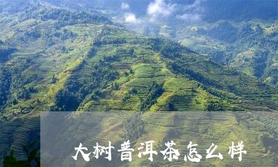 大树普洱茶怎么样/2023031674050