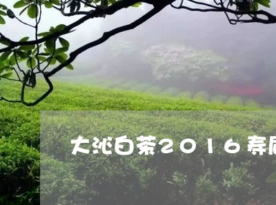 大沁白茶2016寿眉价格/2023033036360