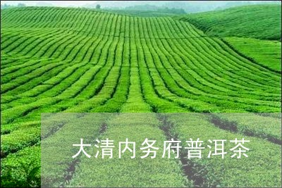 大清内务府普洱茶/2023033192702