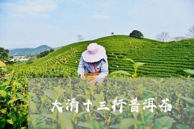 大清十三行普洱茶/2023041234249