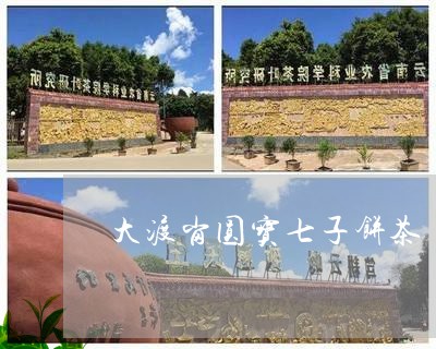 大渡岗圆宝七子饼茶/2023041665948