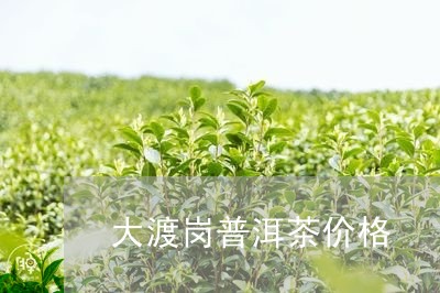 大渡岗普洱茶价格/2023031783736