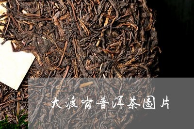 大渡岗普洱茶图片/2023031674058