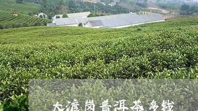 大渡岗普洱茶多钱/2023031795362