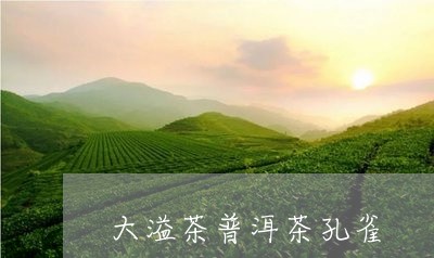 大溢茶普洱茶孔雀/2023041302805