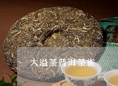 大溢茶普洱茶雀/2023041302805