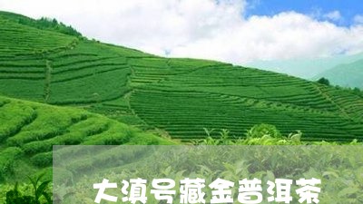 大滇号藏金普洱茶/2023033095168