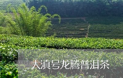 大滇号龙腾普洱茶/2023031649027