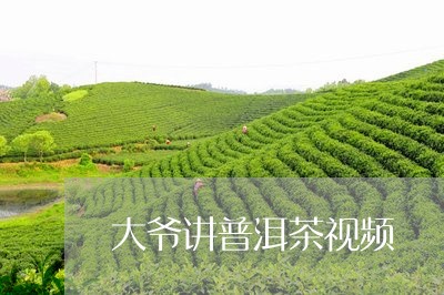 大爷讲普洱茶视频/2023031846151