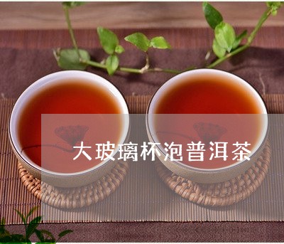 大玻璃杯泡普洱茶/2023033192968