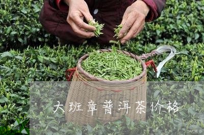 大班章普洱茶价格/2023041369603