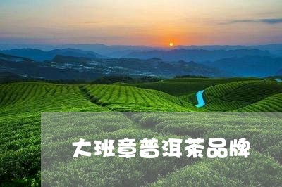 大班章普洱茶品牌/2023041053293