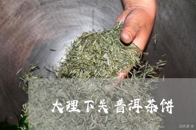 大理下关普洱茶饼/2023041091948