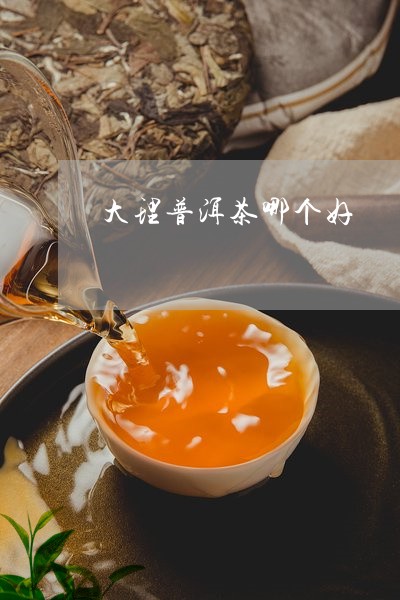 大理普洱茶哪个好/2023041061515