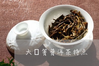 大痳箐普洱茶特点/2023040198262