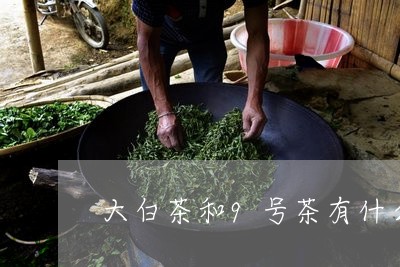 大白茶和9号茶有什么区别/2023033027461