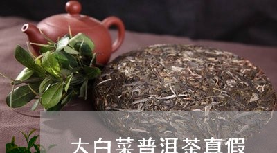 大白菜普洱茶真假/2023041256150