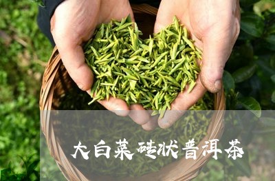 大白菜砖状普洱茶/2023033195169