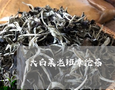 大白菜老班章沱茶/2023032994826