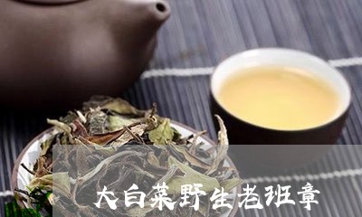 大白菜野生老班章/2023032985028