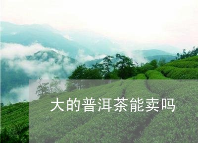 大的普洱茶能卖吗/2023033027463