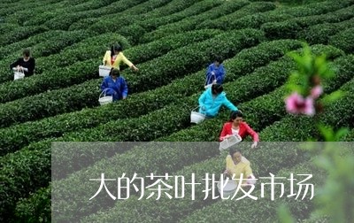 大的茶叶批发市场/2023032620683