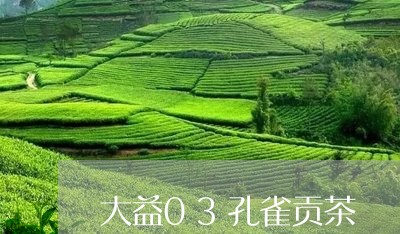 大益03孔雀贡茶/2023032634916