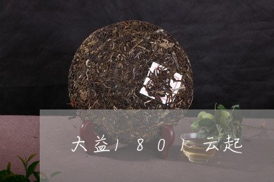 大益1801云起/2023032649683