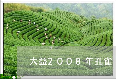 大益2008年孔雀/2023032221413