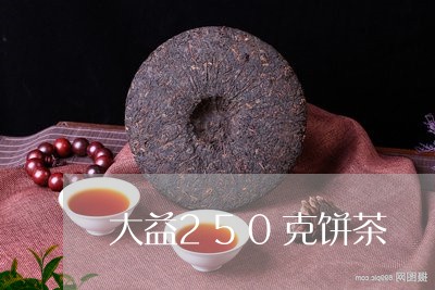 大益250克饼茶/2023032679626