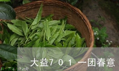 大益701一团春意/2023032204047