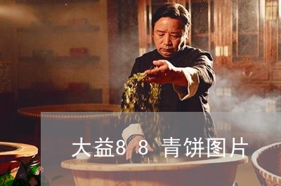 大益88青饼图片/2023032530593