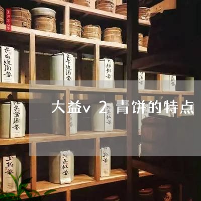 大益v2青饼的特点/2023032221490