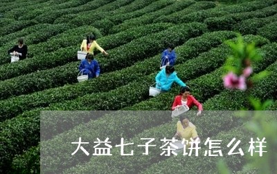 大益七子茶饼怎么样/2023032217393