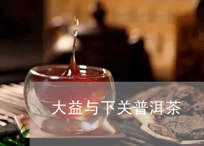 大益与下关普洱茶/2023031702935