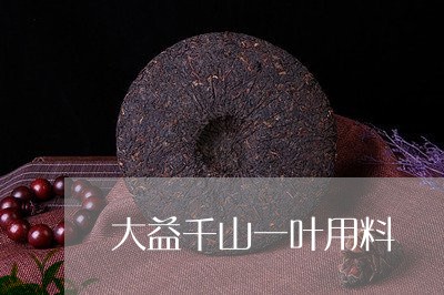 大益千山一叶用料/2023032699584