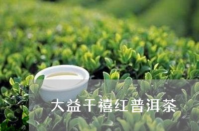 大益千禧红普洱茶/2023033064936