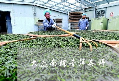 大益南糯普洱茶饼/2023033173915