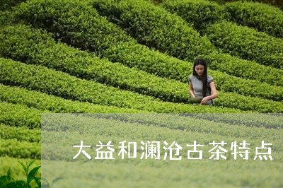 大益和澜沧古茶特点/2023032149583