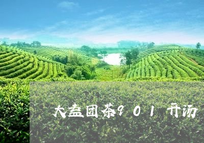 大益团茶901开汤/2023032296048