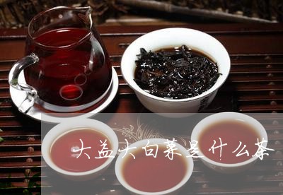 大益大白菜是什么茶/2023032279503