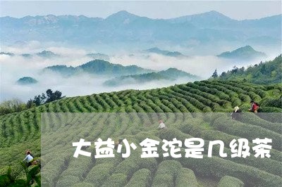 大益小金沱是几级茶/2023032265138