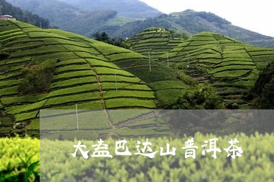 大益巴达山普洱茶/2023033083038