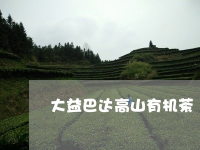 大益巴达高山有机茶/2023032275138