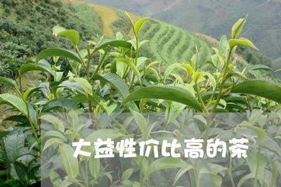 大益性价比高的茶/2023032688270