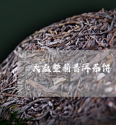 大益整箱普洱茶饼/2023040113925