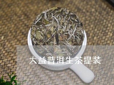 大益普洱生茶提装/2023032931624