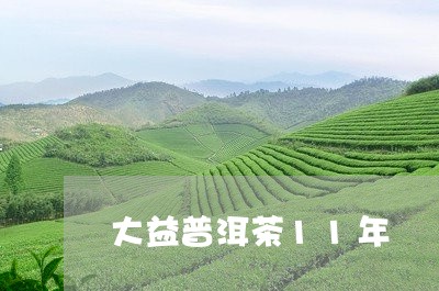 大益普洱茶11年/2023031831716